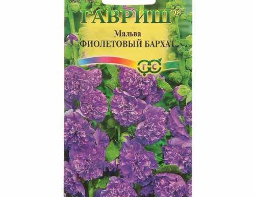 Мальва "Фиолетовый бархат", Мн., 0,1 г