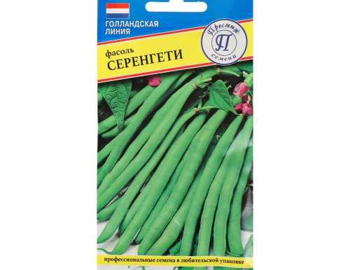 Фасоль овощная "Серенгети", 5 г