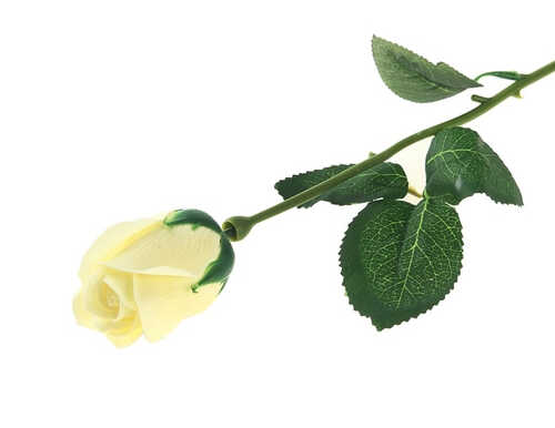 Мыльные лепестки "Роскошная роза", цвет белый