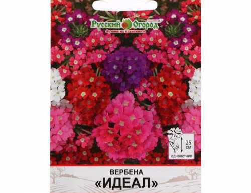 Семена цветов Вербена "Идеал", серия Кольчуга NEW, 0,2г