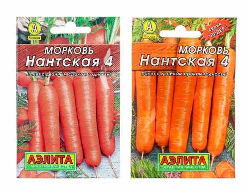 Морковь "Нантская 4", 2 г