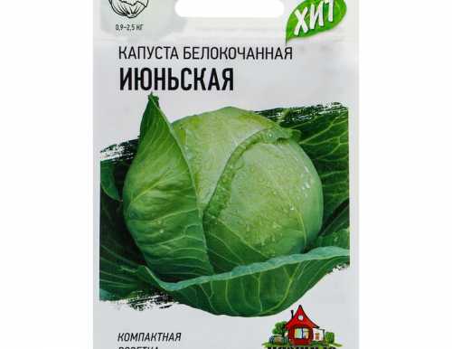 Семена Капуста белокочанная "Июньская" ранняя, 0,5 г