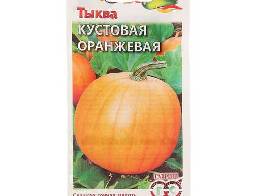 Тыква "Кустовая", оранжевая, раннеспелый, 1,0 г