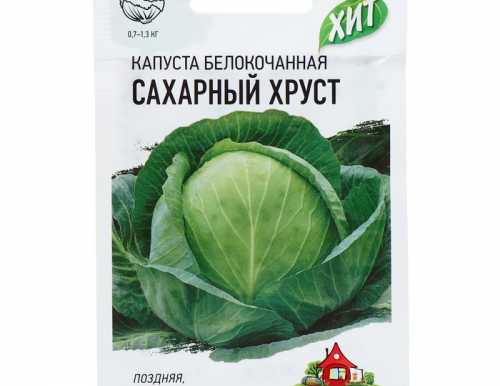 Семена Капуста белокочанная "Сахарный хруст" ранняя, 0,3 г