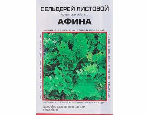 Сельдерей листовой "Афина" Дом семян, 250 шт