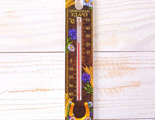 Термометр уличный "Привлекаю удачу", 19,7 х 4,5 см