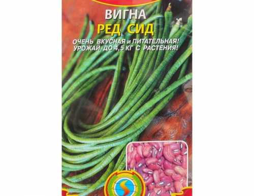 Вигна "Ред Сид", 15 шт